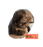 ミロpart2（個別スタンプ：3）