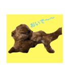 ミロpart2（個別スタンプ：4）