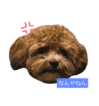 ミロpart2（個別スタンプ：5）