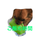 ココモン（個別スタンプ：2）