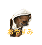 ココモン（個別スタンプ：6）