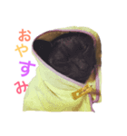 よく使うVer.（個別スタンプ：2）
