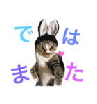 よく使うVer.（個別スタンプ：6）