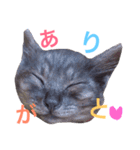 よく使うVer.（個別スタンプ：7）