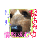 where mom（個別スタンプ：2）