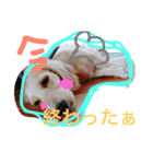 where mom（個別スタンプ：4）
