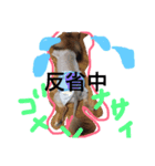 where mom（個別スタンプ：5）