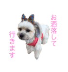 リンの気持ち（個別スタンプ：1）
