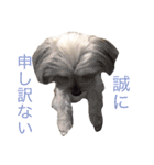 リンの気持ち（個別スタンプ：2）