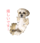 リンの気持ち（個別スタンプ：6）