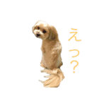 リンの気持ち（個別スタンプ：7）