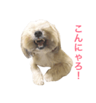 リンの気持ち（個別スタンプ：8）