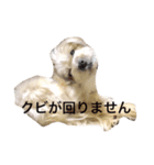 リンの気持ち（個別スタンプ：15）