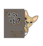 Frenchie style（個別スタンプ：1）