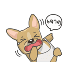 Frenchie style（個別スタンプ：4）