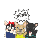 Frenchie style（個別スタンプ：6）