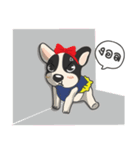 Frenchie style（個別スタンプ：7）