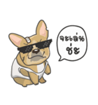 Frenchie style（個別スタンプ：9）