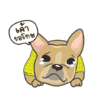 Frenchie style（個別スタンプ：12）