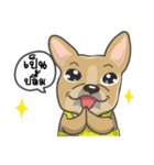 Frenchie style（個別スタンプ：14）