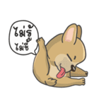 Frenchie style（個別スタンプ：19）