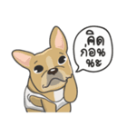 Frenchie style（個別スタンプ：28）