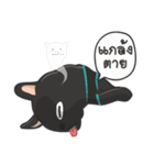 Frenchie style（個別スタンプ：29）