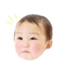 はーちゃんのお顔スタンプ（個別スタンプ：4）