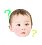 はーちゃんのお顔スタンプ（個別スタンプ：7）