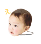 はーちゃんのお顔スタンプ（個別スタンプ：11）