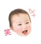 はーちゃんのお顔スタンプ（個別スタンプ：20）