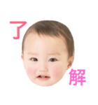 はーちゃんのお顔スタンプ（個別スタンプ：33）