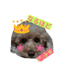 rinrinrin4（個別スタンプ：2）