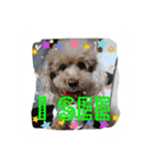 rinrinrin4（個別スタンプ：5）