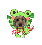 rinrinrin4（個別スタンプ：6）