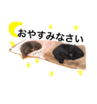 SORAとつーくん（個別スタンプ：2）