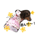 SORAとつーくん（個別スタンプ：12）