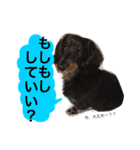 SORAとつーくん（個別スタンプ：14）