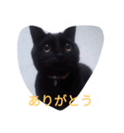 クロネコフィガロ（個別スタンプ：3）