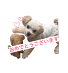 leon .（個別スタンプ：7）