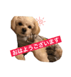 leon .（個別スタンプ：9）