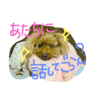 もみちゃん2（個別スタンプ：4）