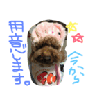 もみちゃん2（個別スタンプ：6）