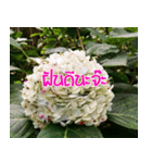 Today is happy（個別スタンプ：8）