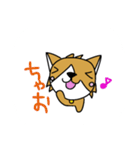 コギまみれ（個別スタンプ：3）