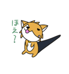 コギまみれ（個別スタンプ：12）