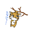 コギまみれ（個別スタンプ：21）