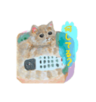 伝える動物スタンプ3 犬猫猛獣編（個別スタンプ：3）