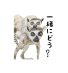 伝える動物スタンプ3 犬猫猛獣編（個別スタンプ：4）