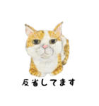 伝える動物スタンプ3 犬猫猛獣編（個別スタンプ：10）